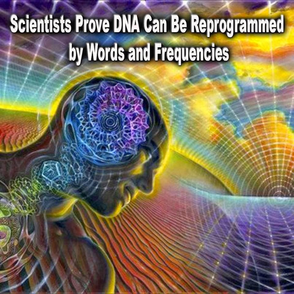 Dna activation youtube